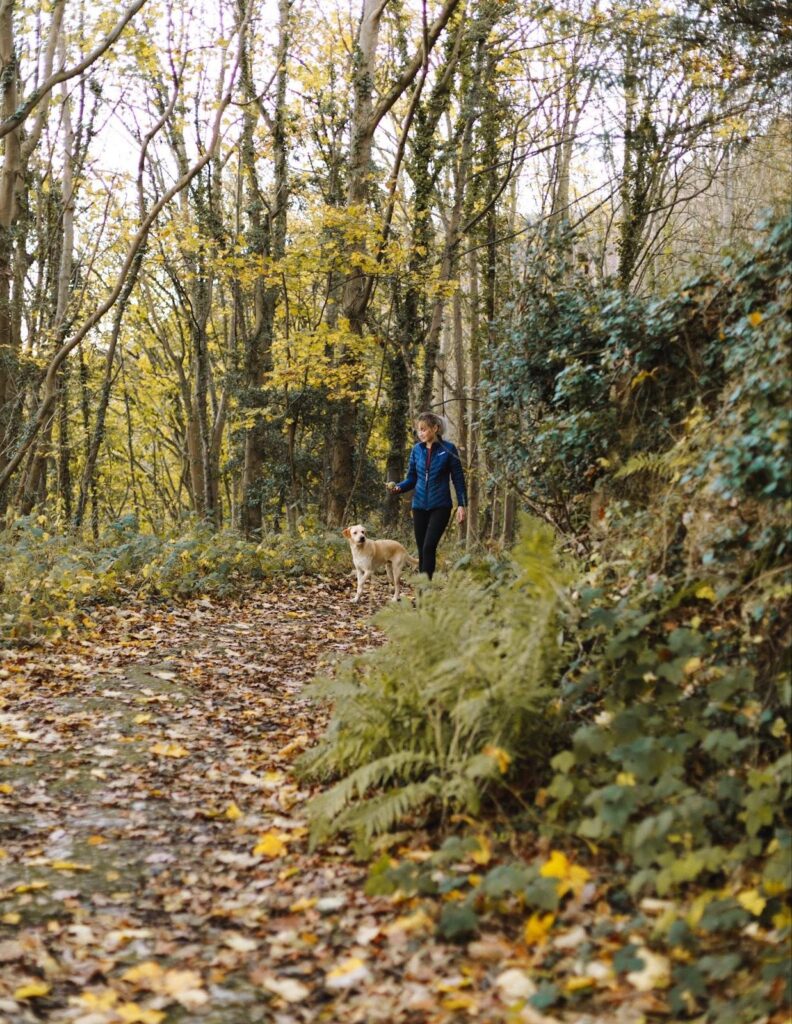 The Benefits of a Digital Detox for Entrepreneurs