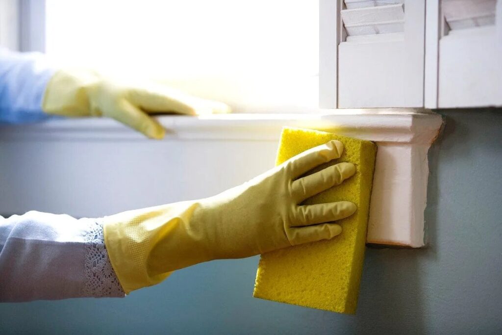 The Real Value of Hiring a Cleaner: Insights from a Torquay Cleaner 