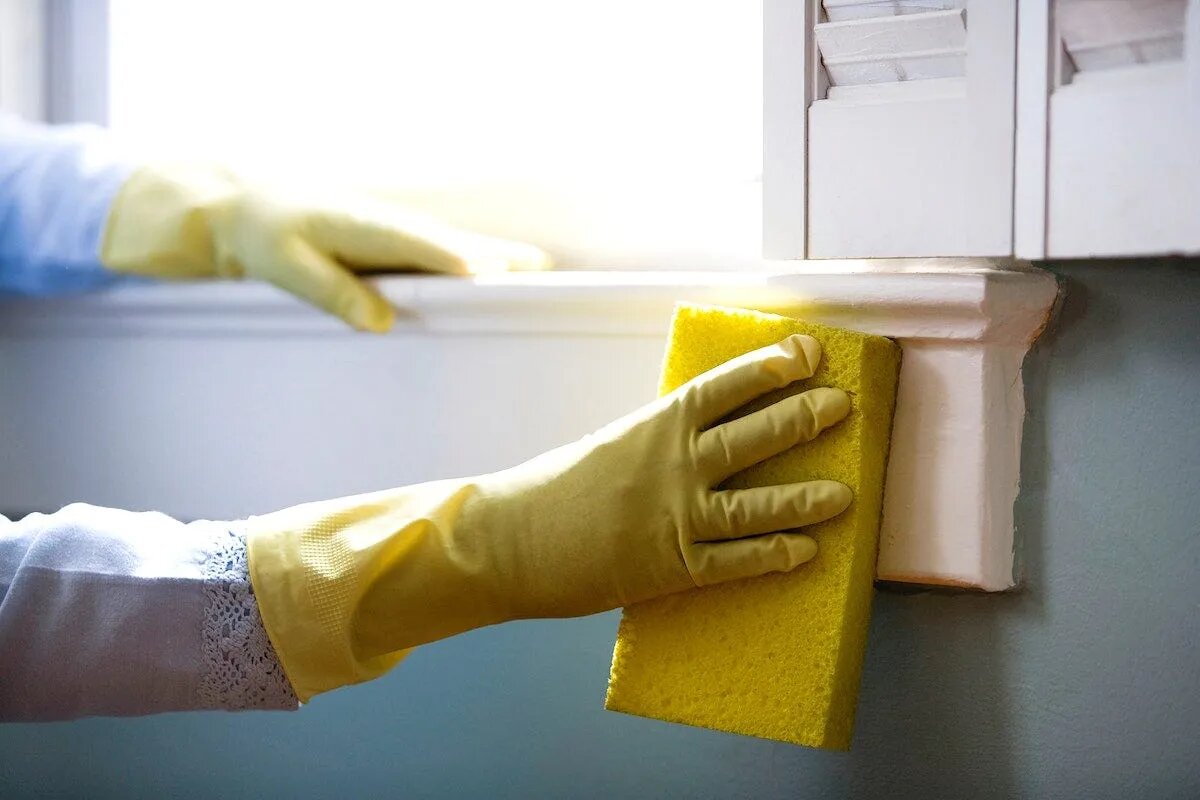 The Real Value of Hiring a Cleaner: Insights from a Torquay Cleaner 