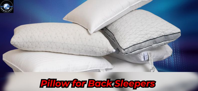 Pillow For Back Sleepers: A Comprehensive Guide, Importance, Factors, Health Features, and Much More