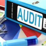 Statutory Audit Service