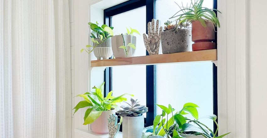 Window shelf design options